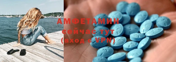 прущие грибы Аркадак