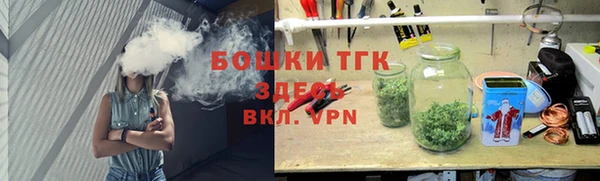 прущие грибы Аркадак