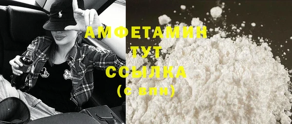 прущие грибы Аркадак