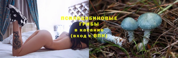 кокс Алзамай